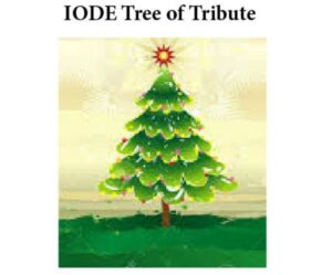 IODE Tree of Tribute Lighting @ Corner of Metcalfe St. & St.George St