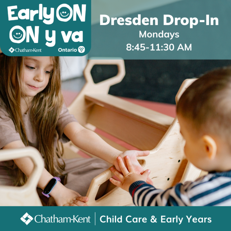 Dresden Drop Ins 768x768